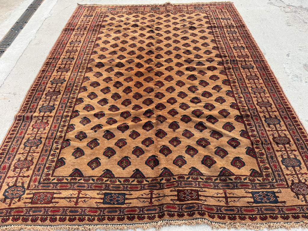 Afghan Baluch Handmade Rug – 274 × 212 cm
