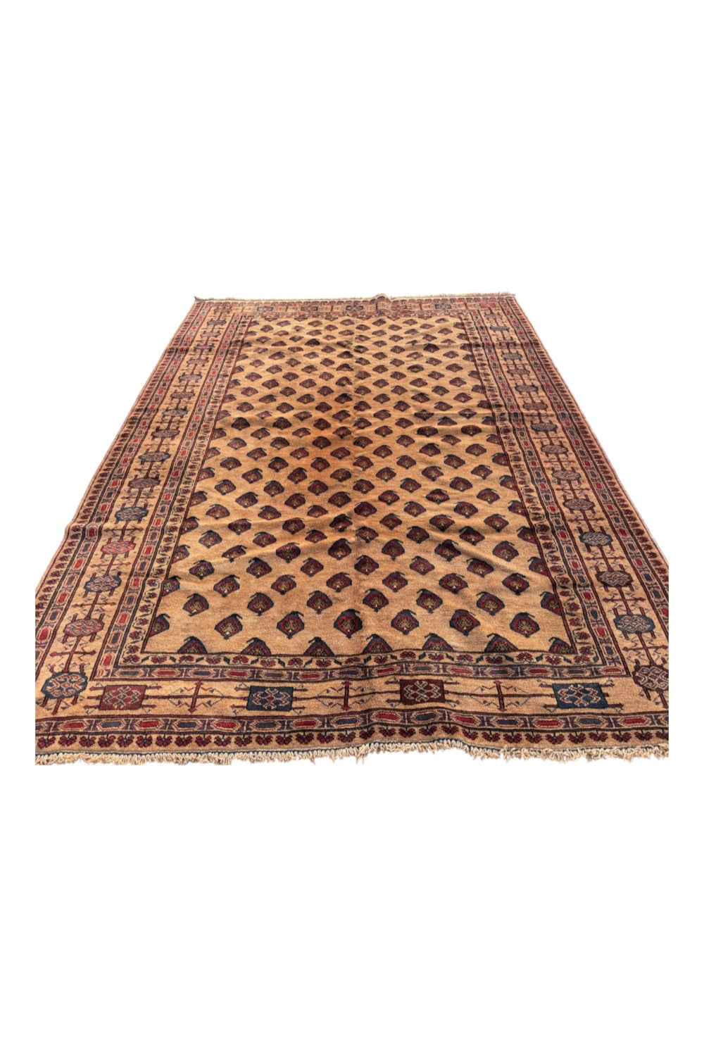 Afghan Baluch Handmade Rug – 274 × 212 cm