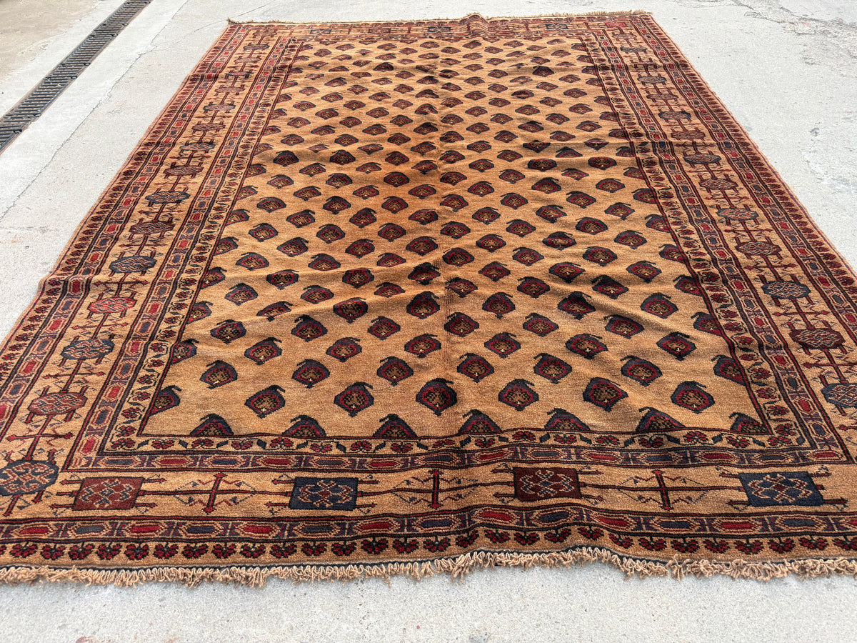 Afghan Baluch Handmade Rug – 274 × 212 cm